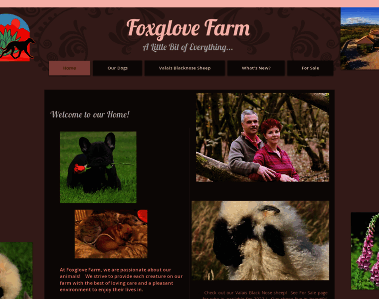 Foxglovefarm.net thumbnail