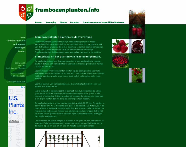 Frambozenplanten.info thumbnail
