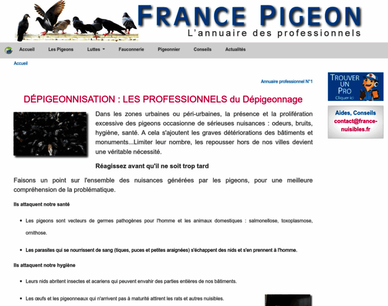 France-pigeon.fr thumbnail