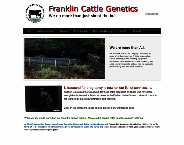 Franklincattlegenetics.com thumbnail