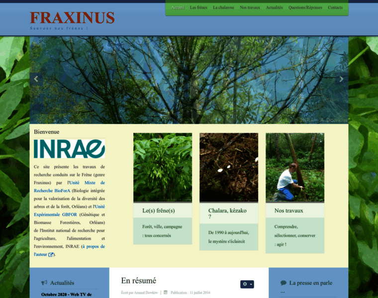 Fraxinus.fr thumbnail