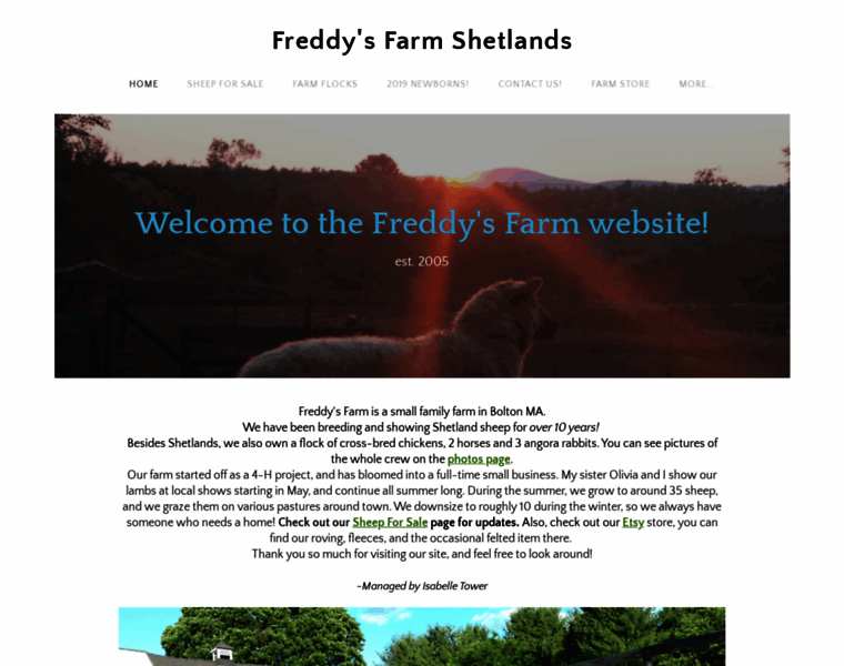 Freddysfarmshetlands.com thumbnail