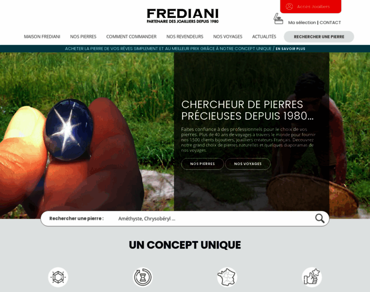 Frediani.fr thumbnail