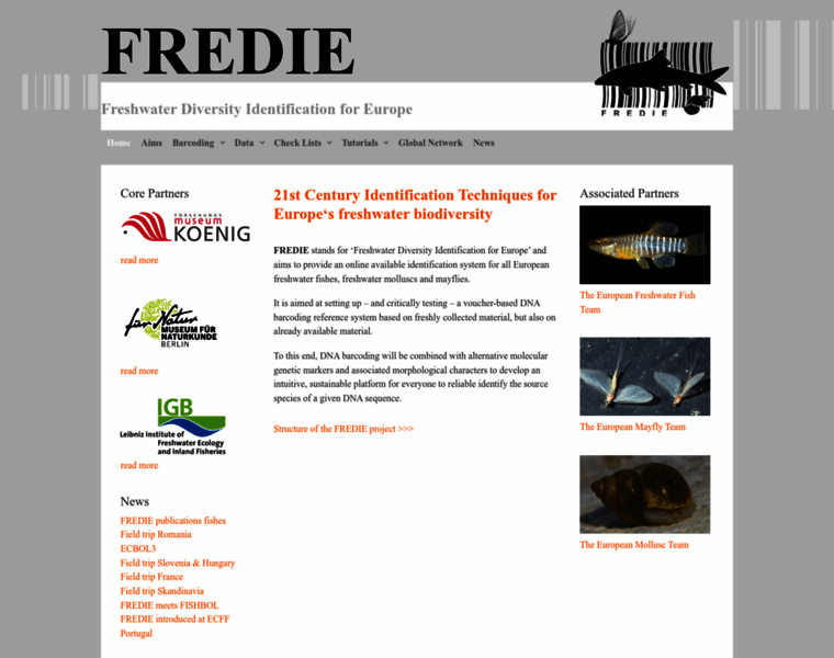 Fredie.eu thumbnail