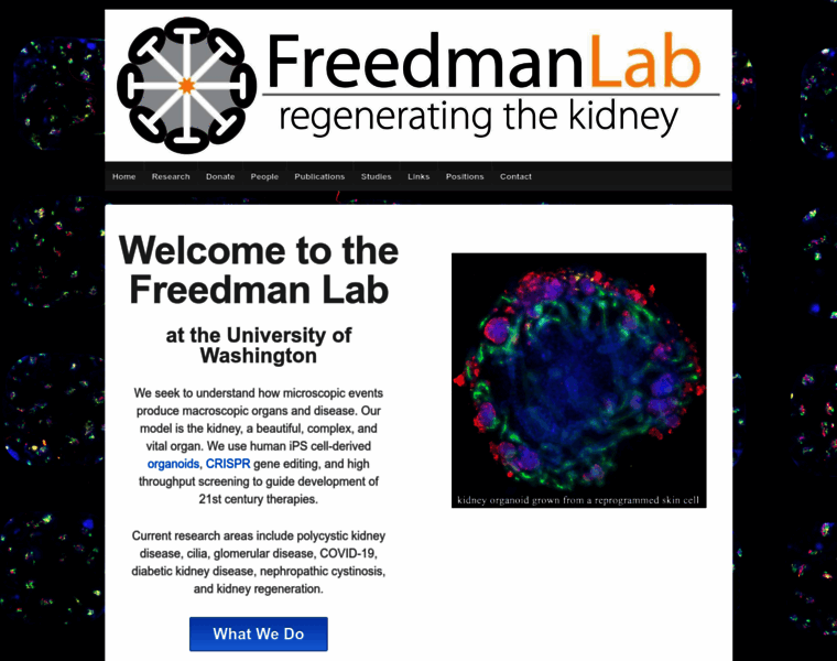 Freedmanlab.com thumbnail