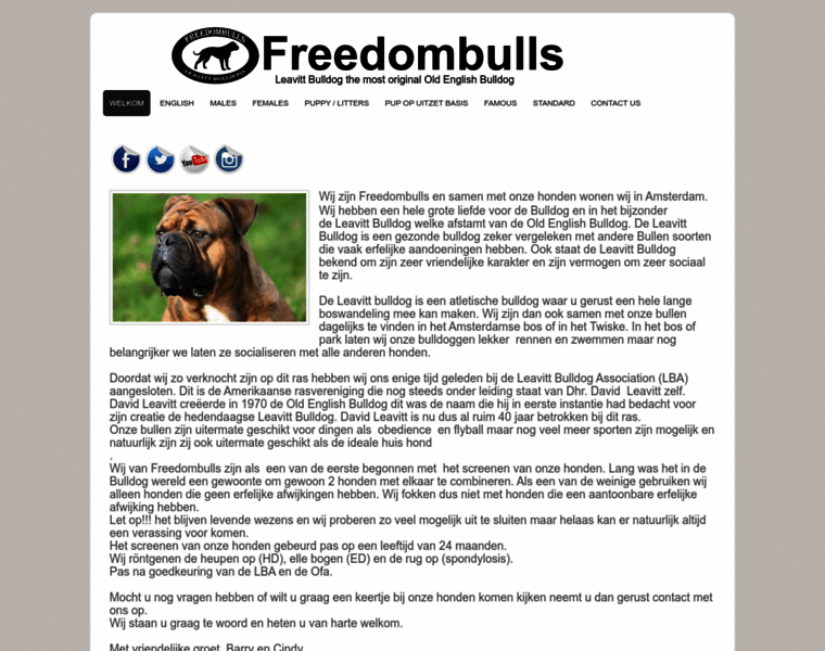 Freedombulls.com thumbnail