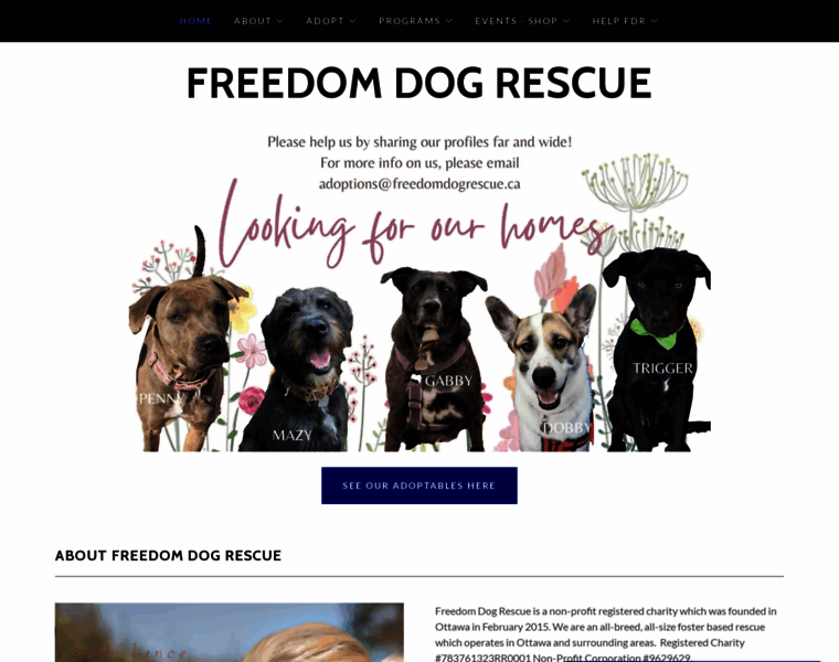 Freedomdogrescue.ca thumbnail