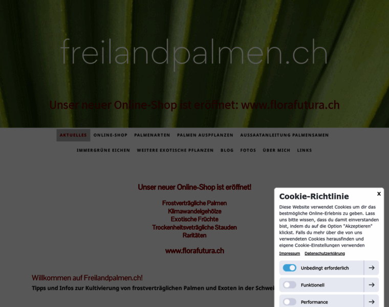 Freilandpalmen.ch thumbnail