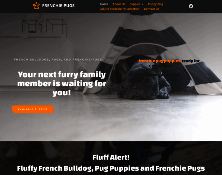 Frenchie-pugs.net thumbnail