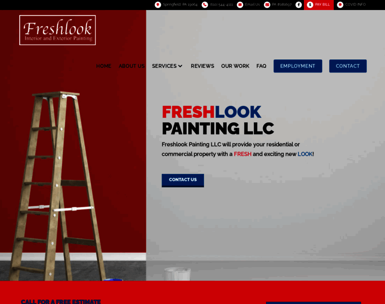 Freshlookpaintingllc.com thumbnail