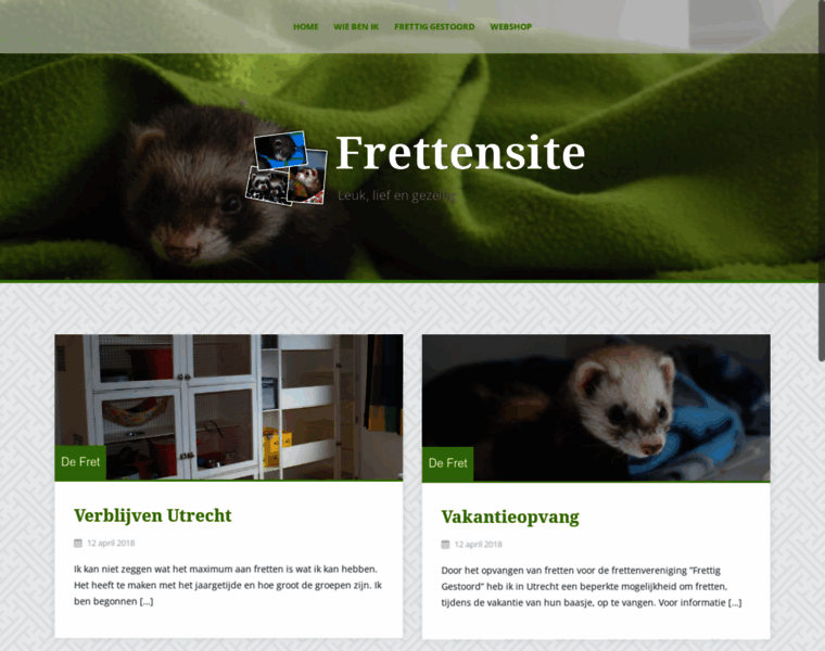 Frettensite.nl thumbnail