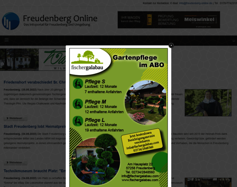 Freudenberg-online.com thumbnail