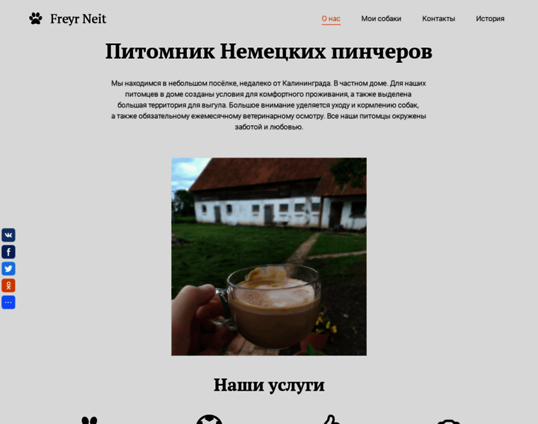 Freyrneit.ru thumbnail