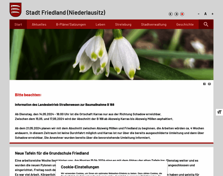 Friedland-nl.de thumbnail