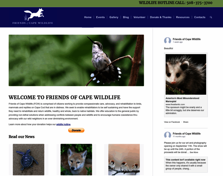 Friendsofcapewildlife.org thumbnail