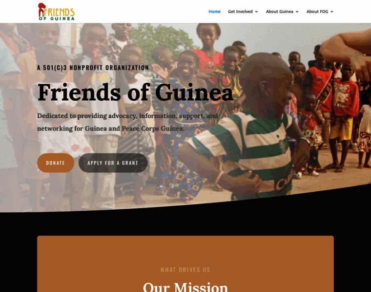 Friendsofguinea.org thumbnail