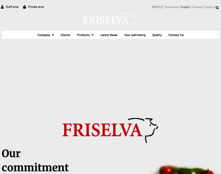 Friselvasa.com thumbnail