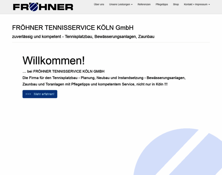 Froehner-tennisservice.de thumbnail
