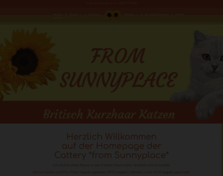 From-sunnyplace.de thumbnail