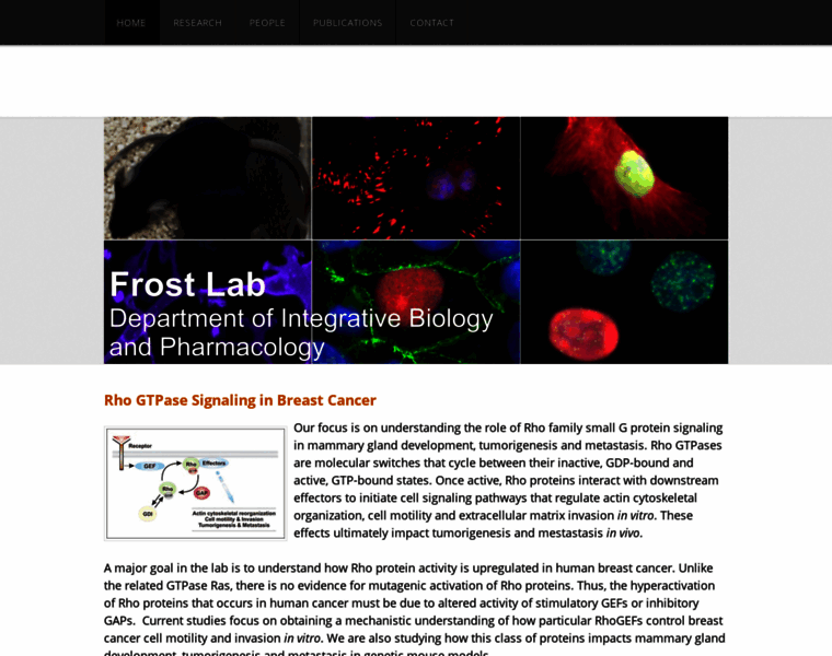 Frost-lab.com thumbnail