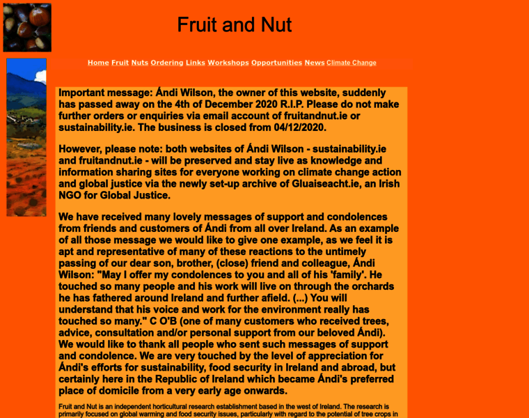 Fruitandnut.ie thumbnail