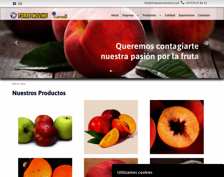 Frutastorremolins.com thumbnail