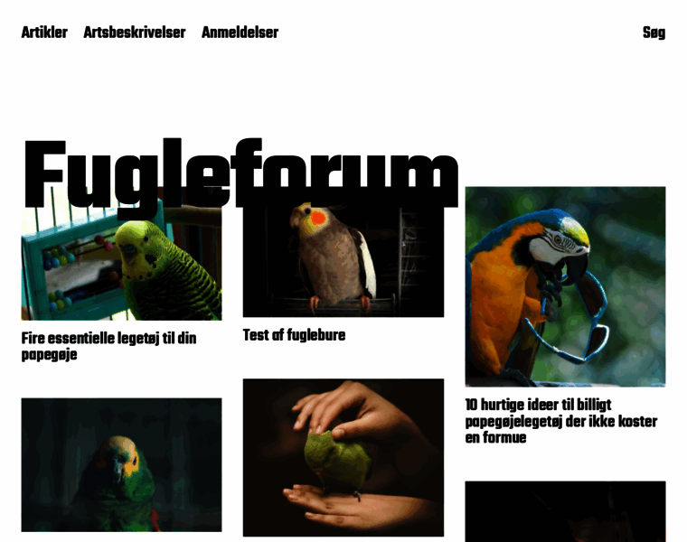 Fugleforum.dk thumbnail