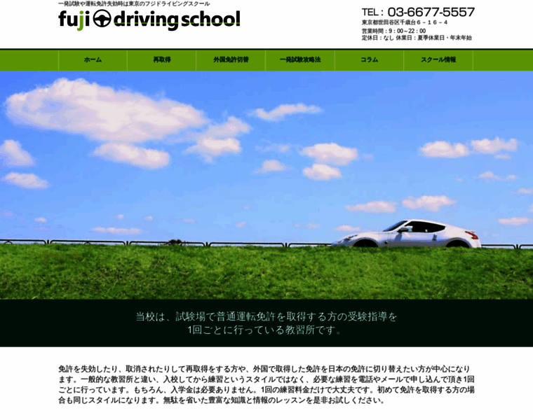 Fuji-ds.com thumbnail