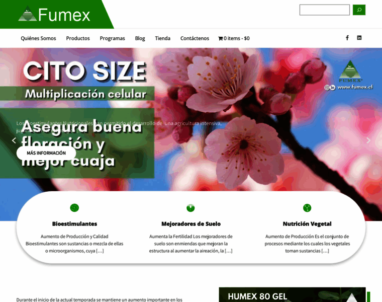 Fumex.cl thumbnail