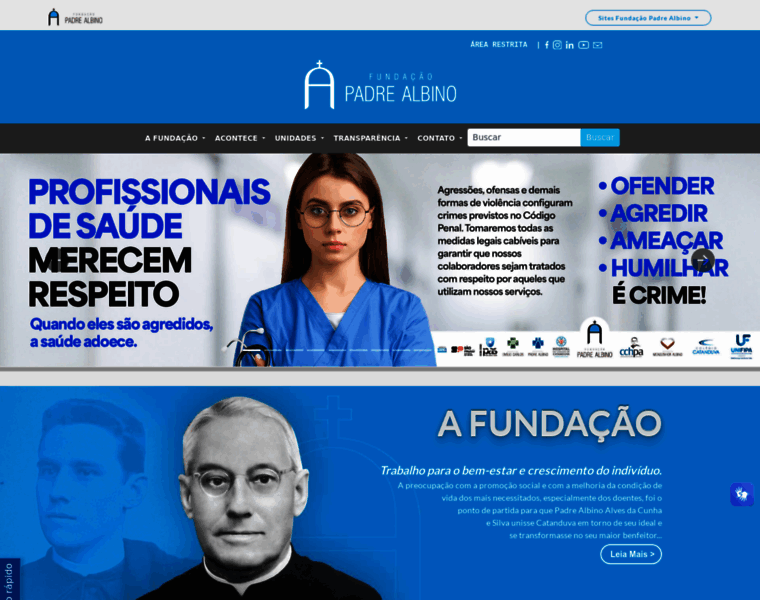 Fundacaopadrealbino.org.br thumbnail