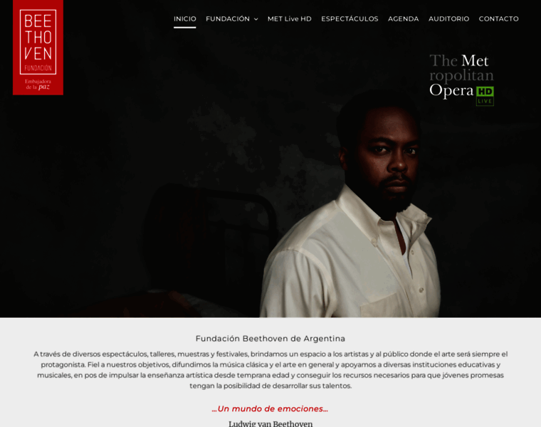 Fundacionbeethoven.com.ar thumbnail