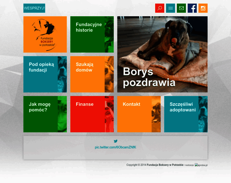 Fundacja-bokserywpotrzebie.pl thumbnail