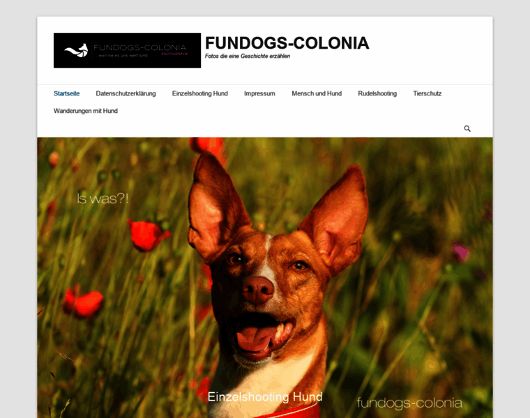 Fundogs-colonia.de thumbnail