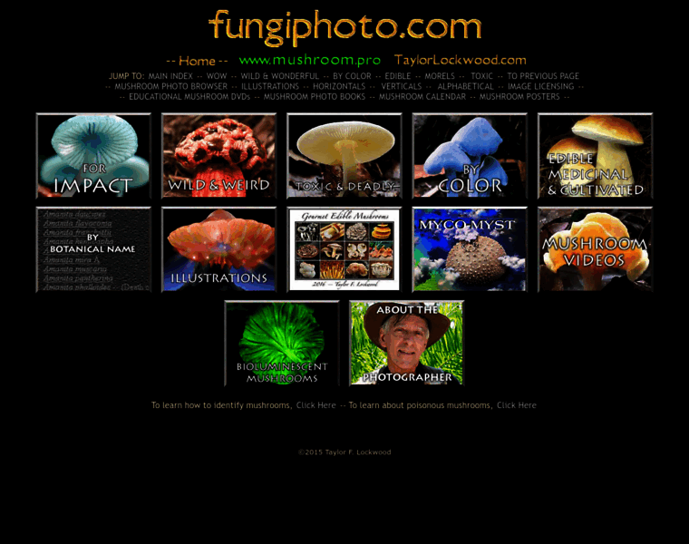 Fungiphoto.com thumbnail Fungiphoto.com thumbnail