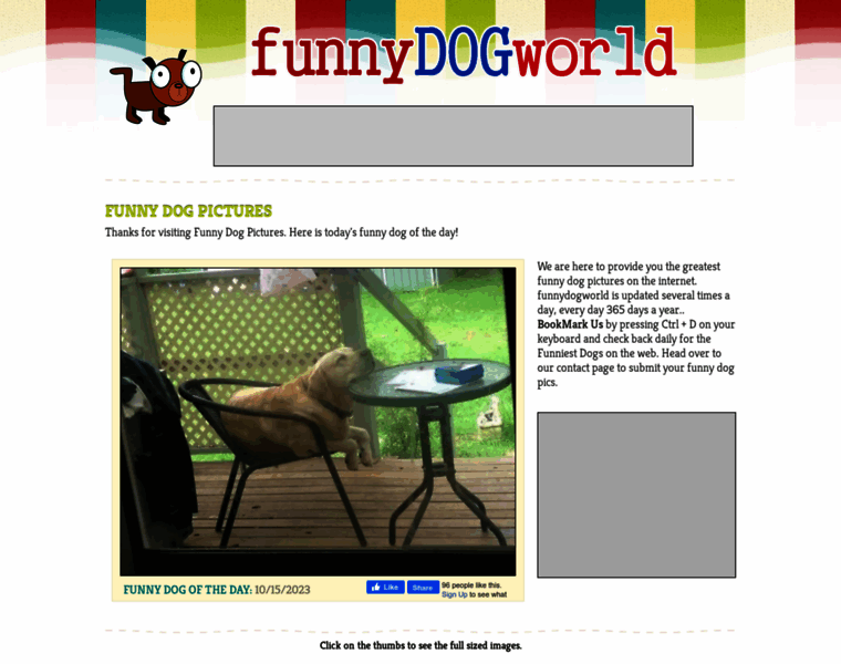 Funnydogworld.com thumbnail