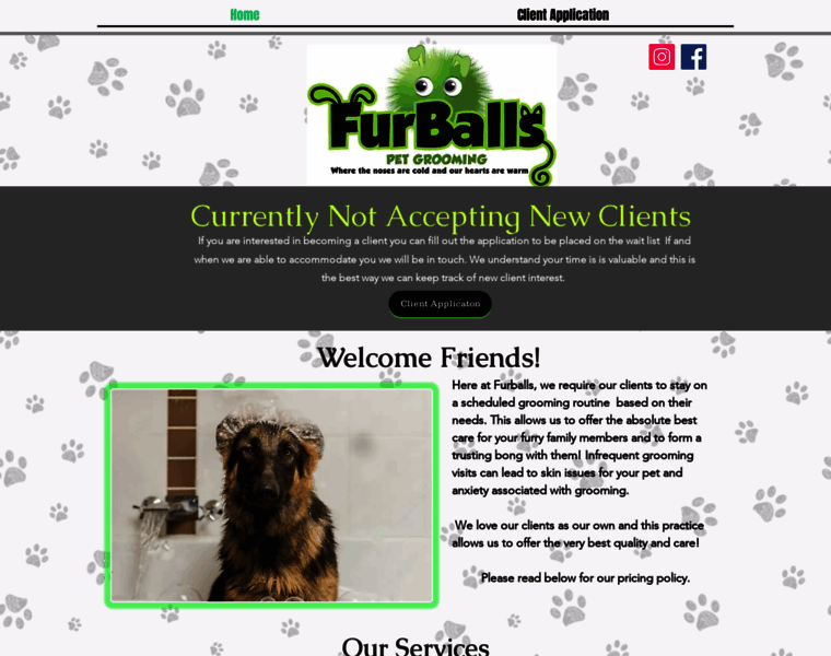 Furballscapecod.com thumbnail Furballscapecod.com thumbnail