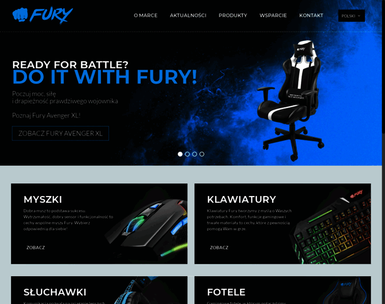 Fury-zone.com thumbnail