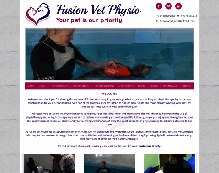 Fusionvetphysio.co.uk thumbnail