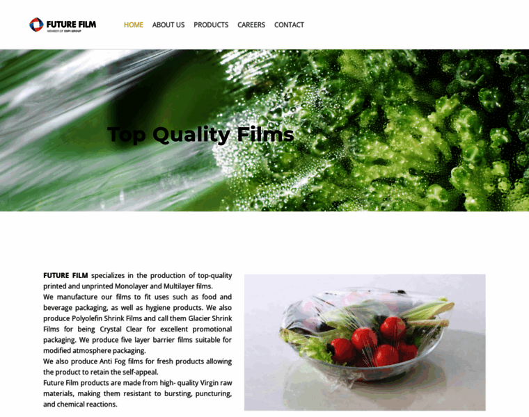 Futurefilm.ae thumbnail