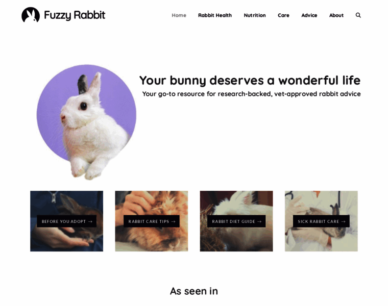 Fuzzy-rabbit.com thumbnail