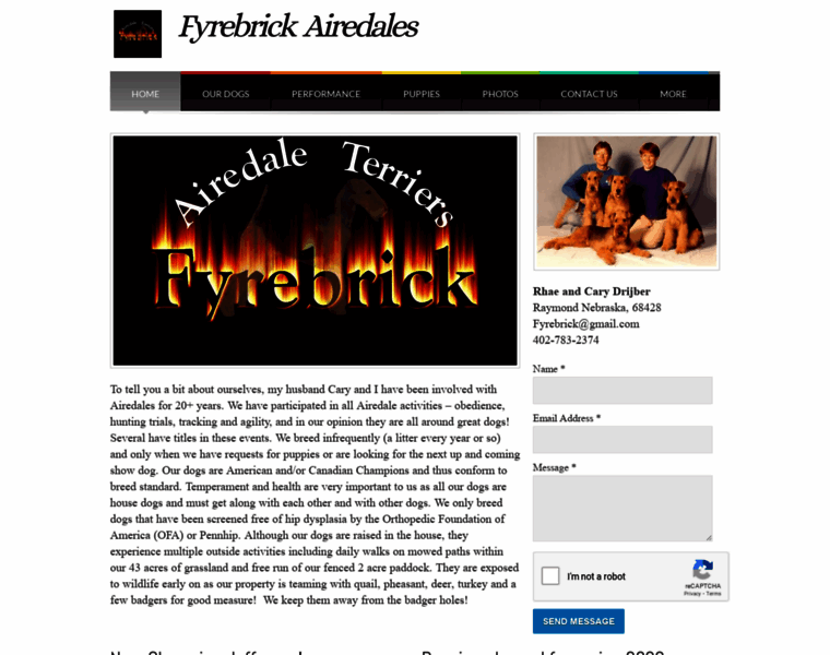 Fyrebrick.com thumbnail