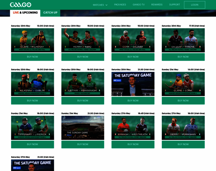 Gaago.rte.ie thumbnail
