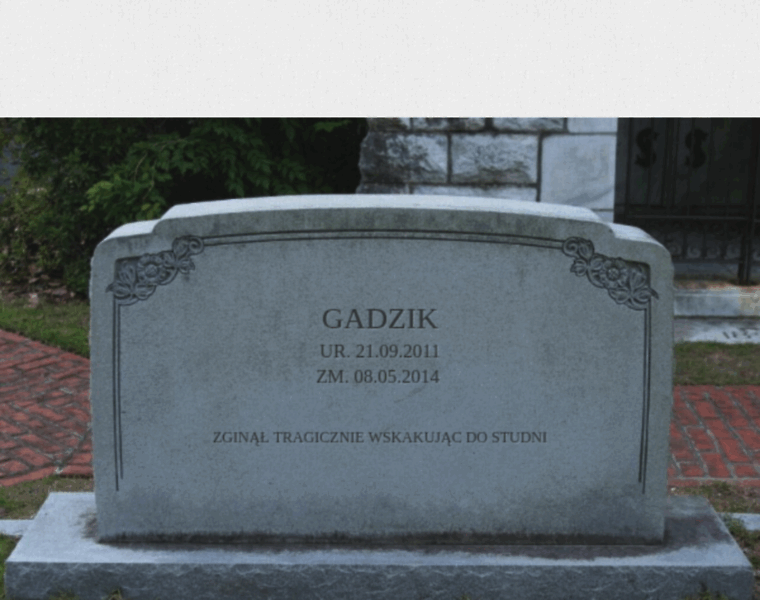 Gadzik.pl thumbnail