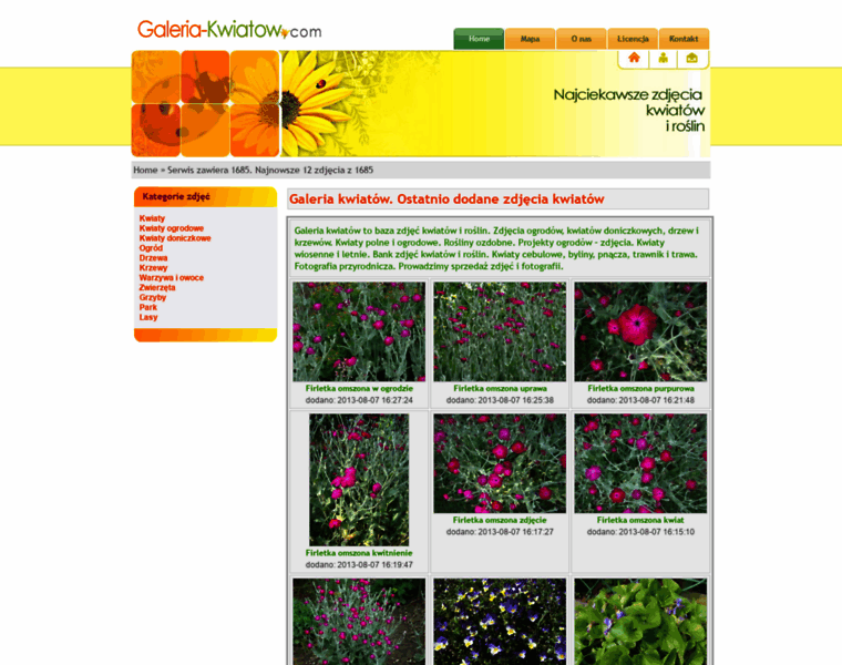 Galeria-kwiatow.com thumbnail