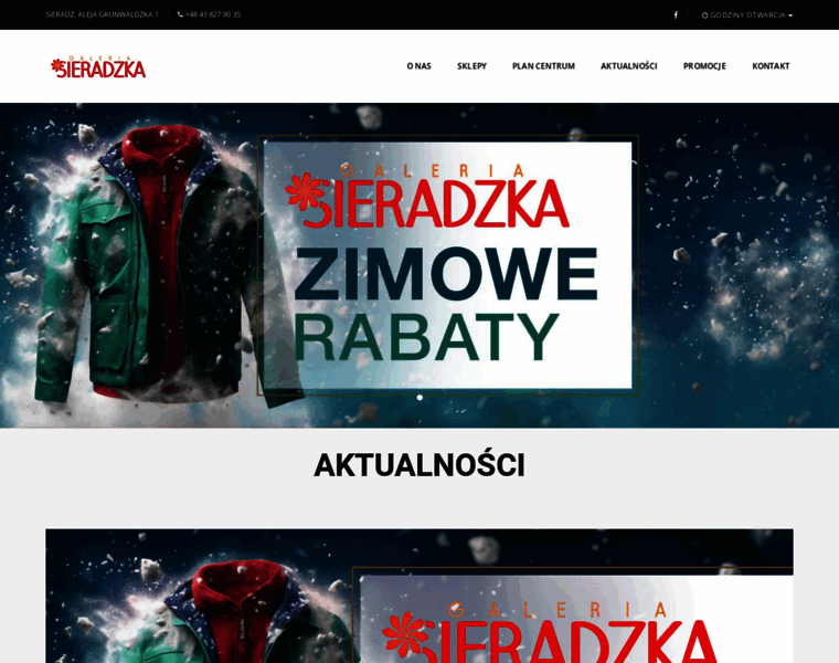 Galeriasieradzka.pl thumbnail