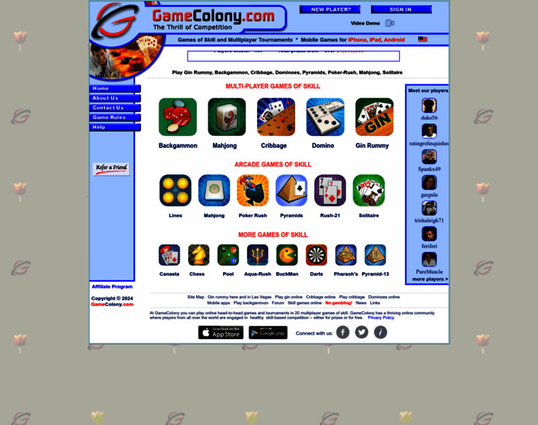 Gamecolony.com thumbnail