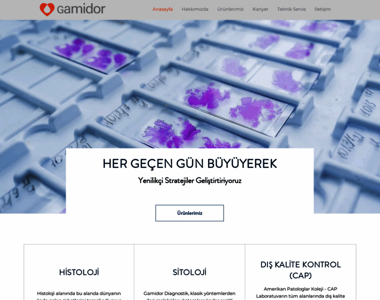 Gamidor.com.tr thumbnail