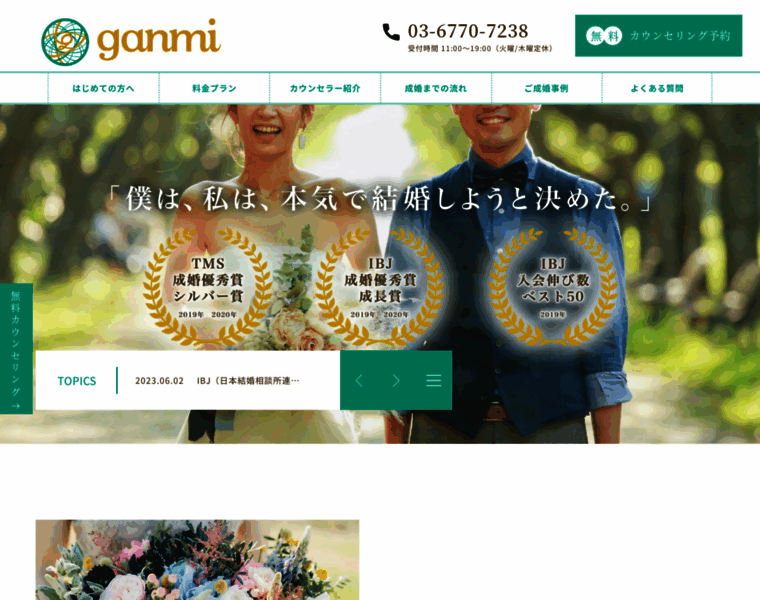 Ganmi.jp thumbnail