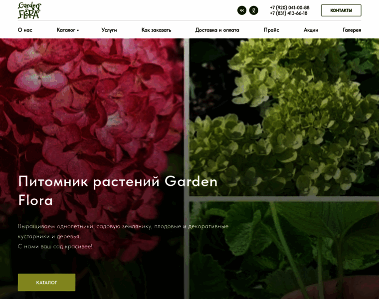 Gardenflora-nn.ru thumbnail