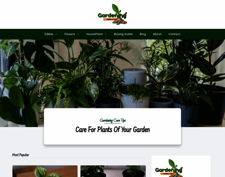 Gardeningcaretips.com thumbnail